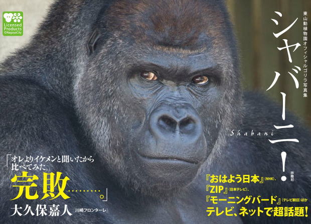 東山動植物園オフィシャルゴリラ写真集 シャバーニ!